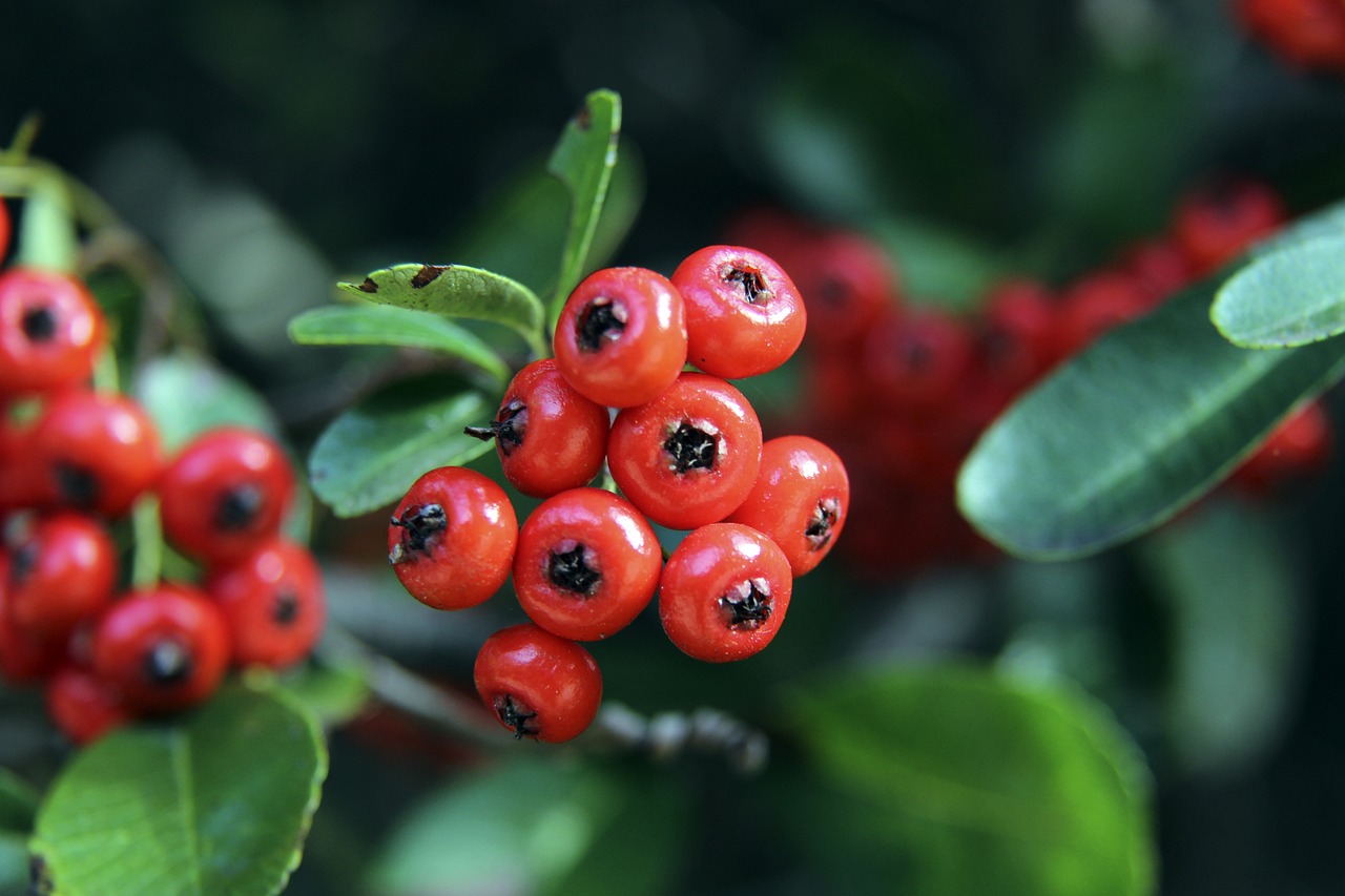 极致性能 极致性能