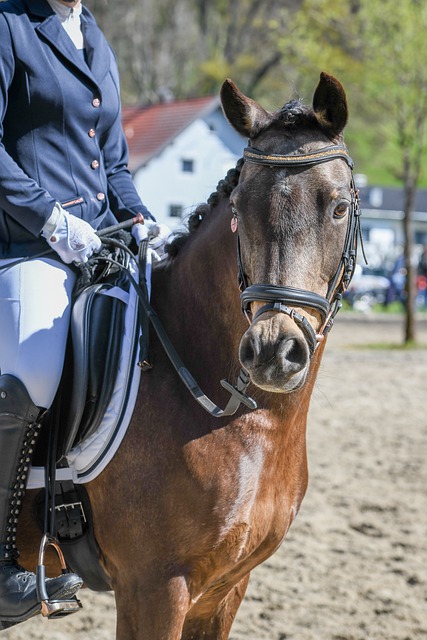 这或许是邮 这或许是邮