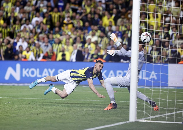 失利所带来 失利所带来