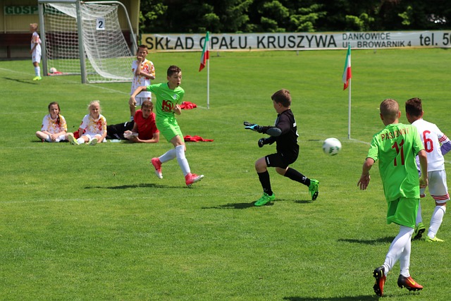 队友合作 队友合作