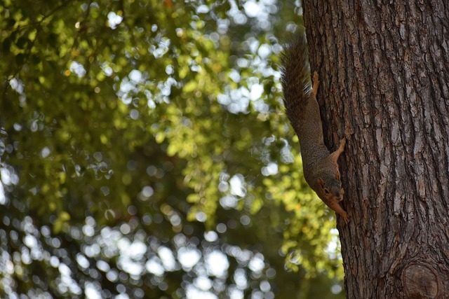 步入正轨 步入正轨