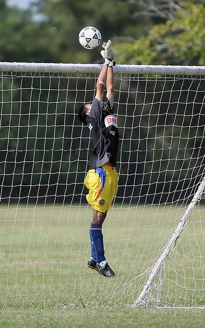 期待他们带 期待他们带