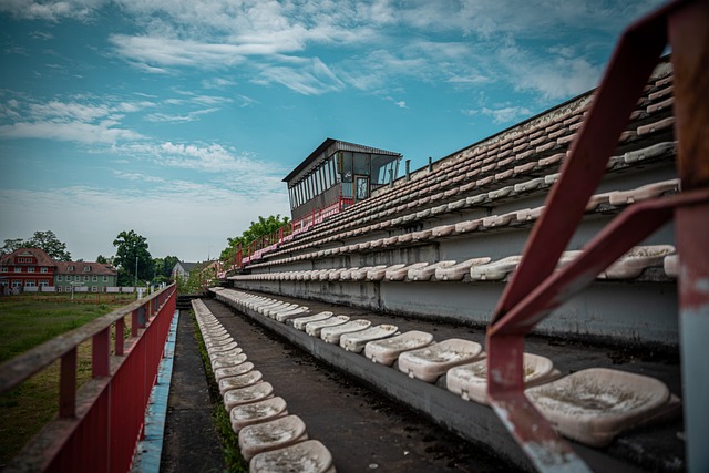 话让樊振东 话让樊振东