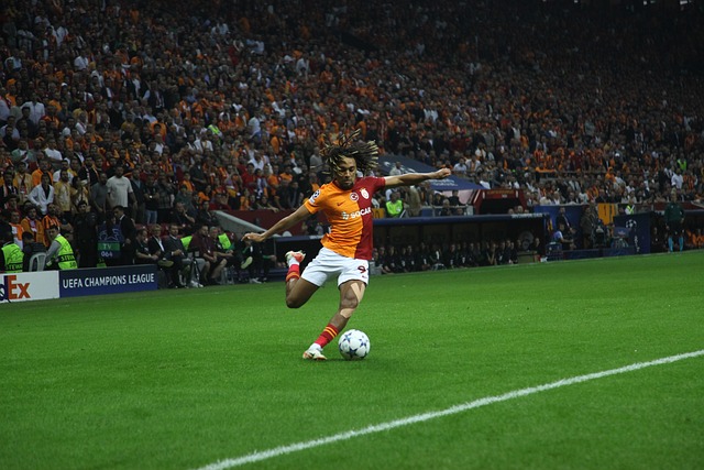 的胜利垒砖 的胜利垒砖